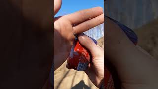 🧨Stroboskop : Big Red Strobe Flash. ZX8033F🧨 Test.