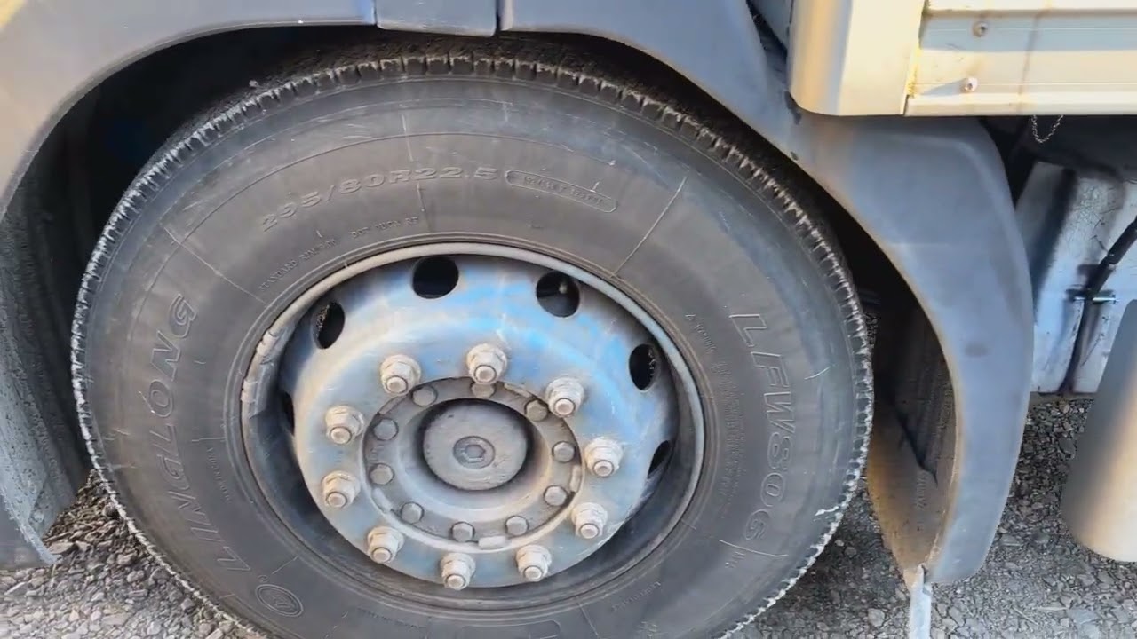 Hästlastbil SCANIA P94L 300