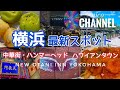 【横浜】新観光スポットを周る１泊2日の旅😊中華街、ハンマーヘッド、ニューオータニイン横浜プレミアム宿泊🌉みなとみらい
