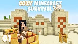 A GREAT ARCHEOLOGICAL START!!! 🐪 - EP1 | (Cozy 1.20 Minecraft Survival Let's Play)