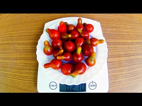 Томат кафе буле Томат кафе буле