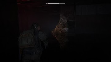 The Last of Us Part II Remastered: No Return - Daily Run, Grounded - Rat King Vs Bill