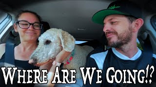 A PERFECT Game Store!?! Our AWESOME Game Store ADVENTURE Ep 1 (The End Games in Charlottesville, Va)