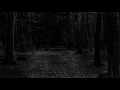 Dark Forest | Scary/Horror Intense Ambient Sound/Music