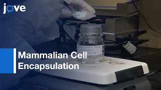 Mammalian Cell Encapsulation In Alginate Beads Using Simple Stirred Vessel l Protocol Preview
