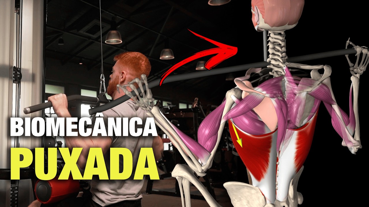 Puxada Alta - Análise Biomecânica [BIOMECÂNICA DA MUSCULAÇÃO]