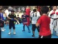 中島道場【厚木】小学生 マス ライトスパー 動画