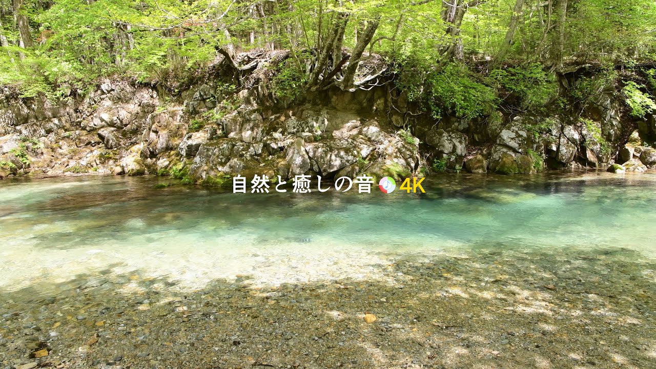 【自然の音】新緑の季節と渓谷を流れる川のせせらぎ、癒し、睡眠、リラックス、作業用BGM/River Sound/Nature Sounds ...