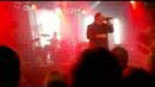 Watch Guardian Curiosity Killed The Cat video
