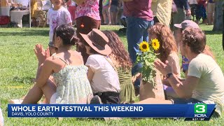A celebration of sustainability and art returns to UC Davis