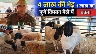 Goat Farming India