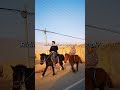 What you think Xinjiang is VS. What it really is #chinatravel #travel #ancientchina #Xinjiang#tour