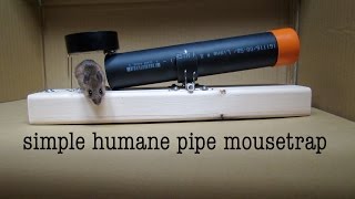 How to Make ● a Simple Tube Mousetrap ( that works ! )