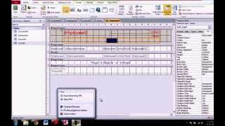 Database, Query and Forms/Reports