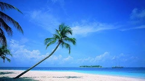 090 سورة البلد الشيخ إبراهيم جمال القرجاوي برواية #روح_عن_يعقوب