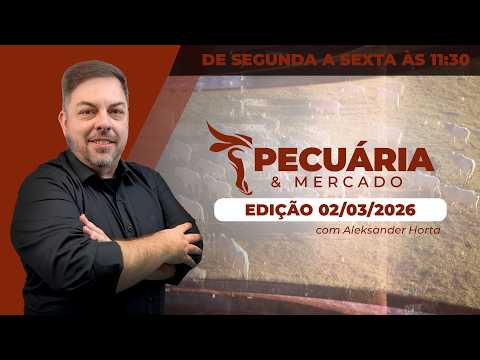 Março começa com arroba do boi firme, mas com ritmo de alta moderado , alerta analista