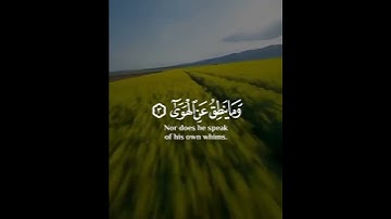 والنجم إذا هوى😓تلاوه القرآن الكريم 😔اجمل صوت 🌼حالات واتس اب 🌷ستوريات انستا ✅