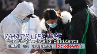 What's life like for Shijiazhuang residents amid an ongoing lockdown