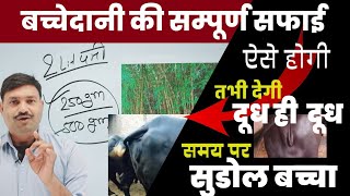 गाय भैंस की बच्चेदानी की सफाई की 100% घरेलू दवा Pashu cow ki bachedani ki safai kaise kare  Ramawat