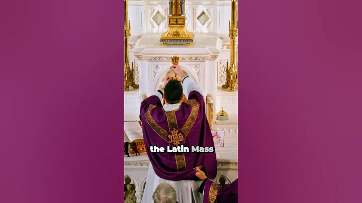 Pope Francis Makes Controversial Remarks About The Latin Mass