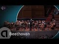 Beethoven string quartet op95 serioso  concertgebouw chamber orchestra  live classical music