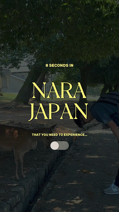 Nara, Japan in 8 seconds 🦌🇯🇵 #narajapan