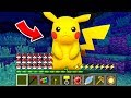 How to play PIKACHU in Minecraft! Real life family PIKACHU! Battle NOOB VS PRO Animation