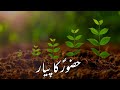 Hazoor ka piyar  aik shakash ka waqia  emotional bayan  mahnoor writes