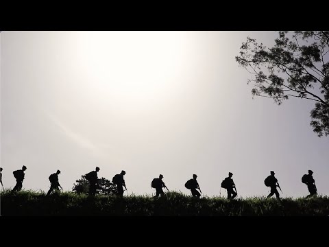 Premio De Las Fuerzas Armadas De Ee. Uu .: La Legión Del Mérito