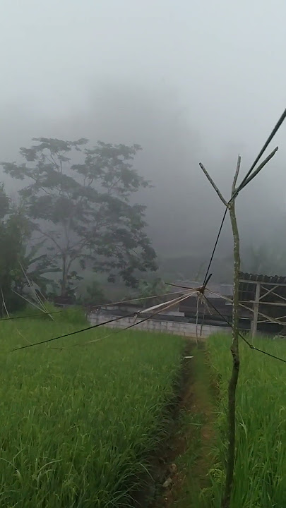 susana desa di pagi hari #music #nostalgia #shorts