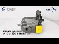 Plunger pump summary from eternal hydraulic
