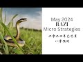 May 2024 bazi micro strategies  