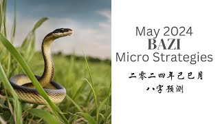 May 2024 Bazi Micro Strategies  二零二四年己巳月八字预测