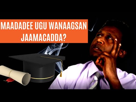 Waa Maxay Maadada Ama Degree Ga Ugu Wanaagsan Ee Lagu Barto Jaaamacadda, Waamaxayse Kuwa Ugu Liita?