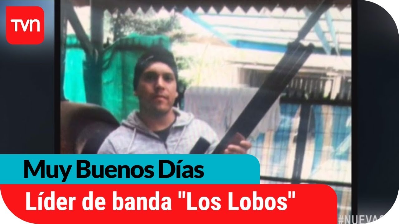 ¿Quién es el líder de los lobos