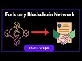 Fork any blockchain network without using hardhat 2023