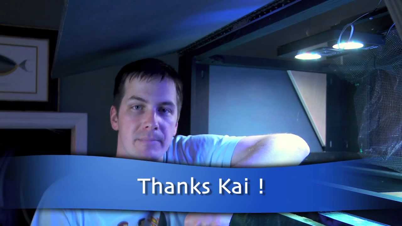 how to videos on tiktok Mr. Saltwater Tank TV Friday AM Quick Tip #121: How To Make Fragging Safe For Your Corals