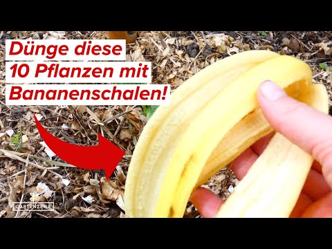 Video: Bananenschale und ihre Verwendung. Bananenschalendünger für Zimmerpflanzen