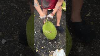 Amazing Jackfruit Cutting Skills 🍈🔪 | Street Market Master