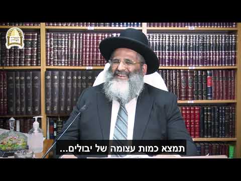 סוד הפרנסה והשפע בברכת האילנות 🌳🌴 רגע של אור לחודש ניסן עם הרב ישראל אברג'ל