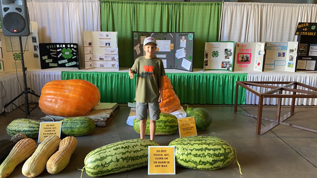 Live at the Oklahoma State Fair YouTube