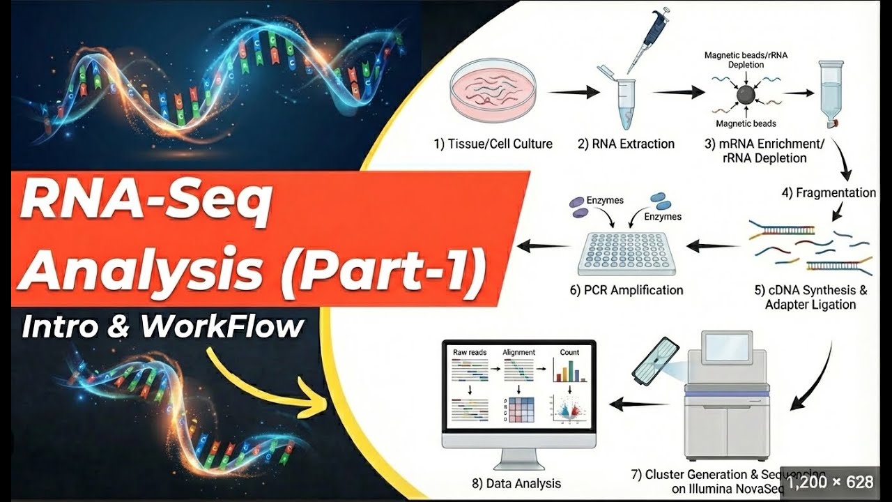 RNA-seq Analysis (Part 1) – Introduction & WorkFlow - YouTube