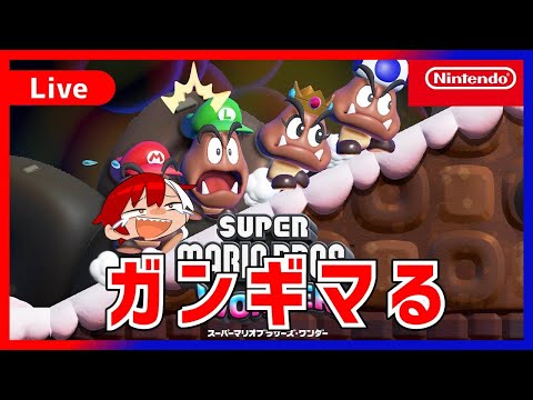 【スーパーマリオブラザーズ ワンダー】ガンギまるぜ２【万丈剛】