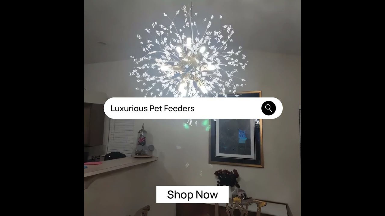 Luxurious Pet Feeders