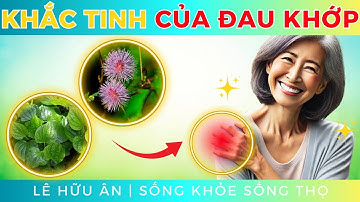 Chữa đau xương khớp bằng Lá Lốt và Cây Xấu Hổ (Sự kết hợp Đơn Giản nhưng Tác Dụng Gấp Bội!)