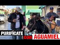 PURIFÍCATE CON AGUAMIEL DE MAGUEY