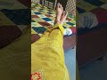 makhni wargi#shortvideo #dance #love