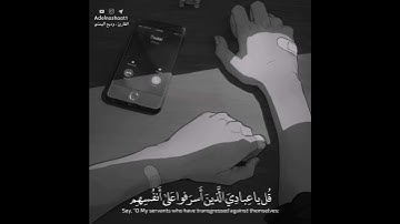 ارح صدرك 💚 || لكل من ارهقته الذنوب || تلاوة تريح القلب • حالات واتس اب قران