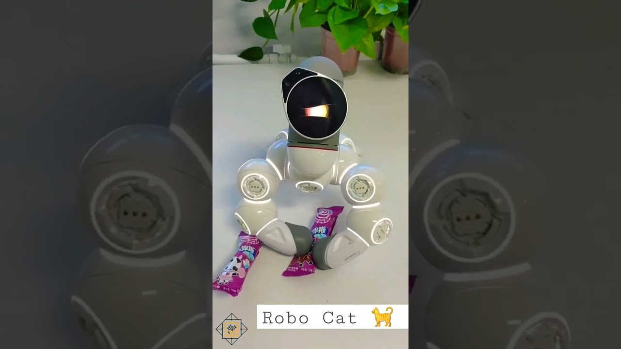 Robo Cat 🐈 😹 