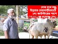 ডিজাইন এগ্রোর মাঝারি গরুগুলো দেখুন | Design agro | Bayezid Moral